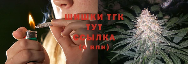 МДПВ Липки