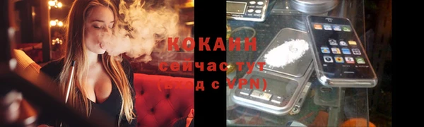МДПВ Липки
