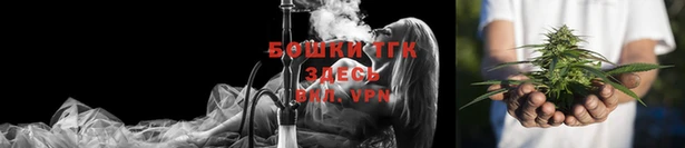 прущие грибы Лагань