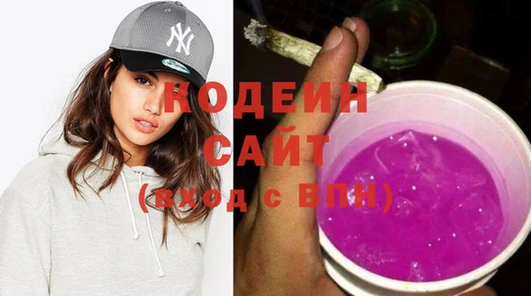 МДПВ Липки