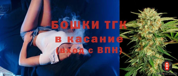 МДПВ Липки
